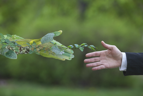 ESG Investing Hands