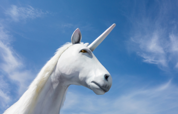 An Investment Unicorn is a Rare Creature