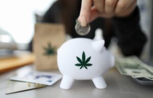 Feeding the piggy bank with the money from cannabis etfs