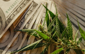 6 Marijuana Penny Stocks to Watch in 2021