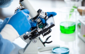 Xenetic Biosciences Stock – Buy or Sell?