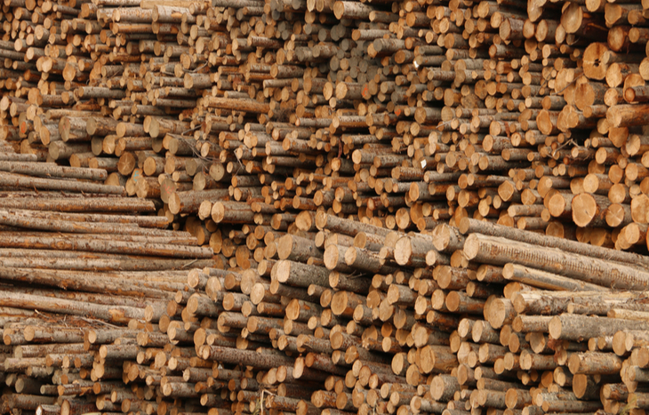 West Fraser Timber Stock