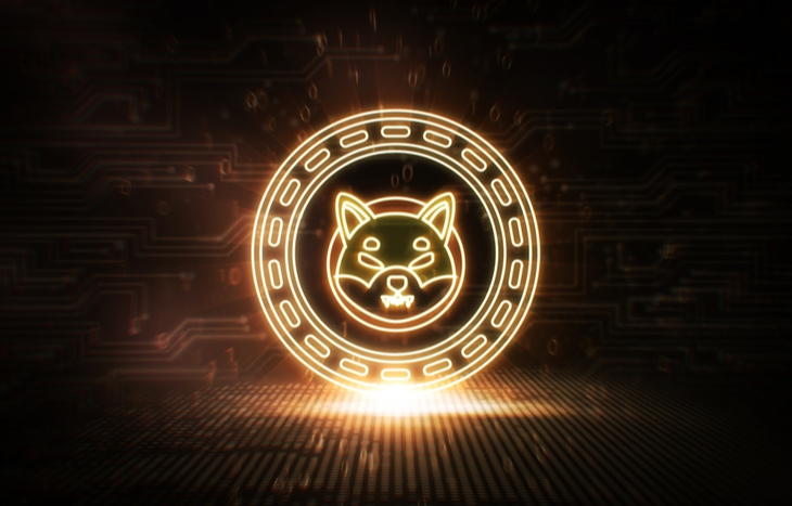 Shiba coin investing may enhance your portfolio